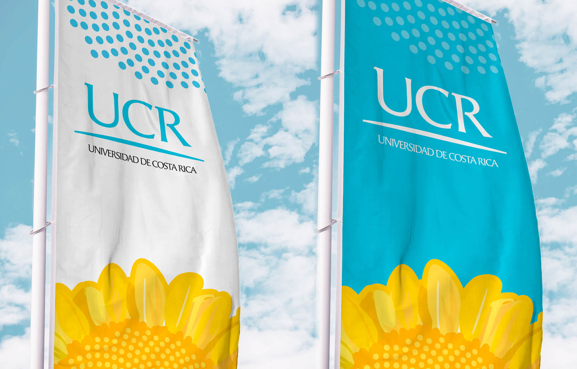 Main-Banner-UCR-flags-Insignia-web